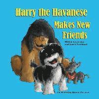 Harry the Havanese Makes New Friends 1