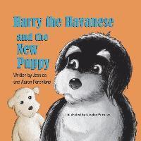 Harry the Havanese and the New Puppy 1