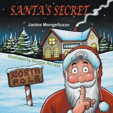 bokomslag Santa's Secret