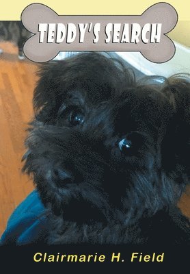 Teddy's Search