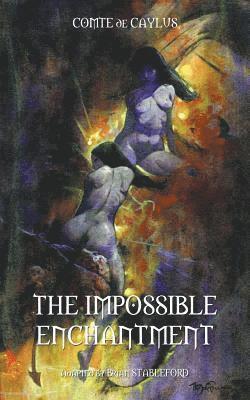 bokomslag Impossible Enchantment