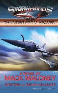 bokomslag Thunder from Heaven: Storm Birds