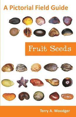 Fruit Seeds 1