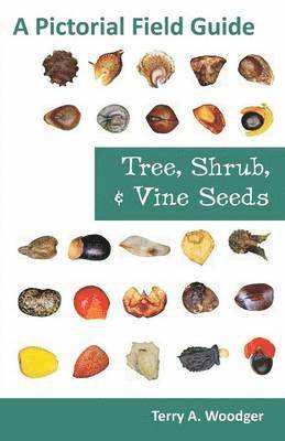 Tree, Shrub, and Vine Seeds 1