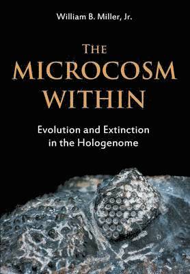 The Microcosm Within 1