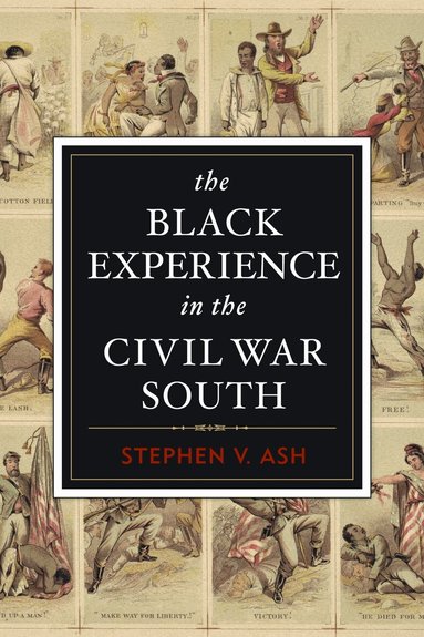 Stephen V Ash - Black Experience in the Civil War South, Häftad