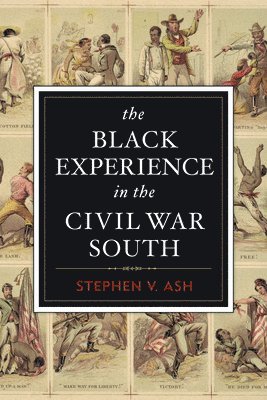 bokomslag The Black Experience in the Civil War South