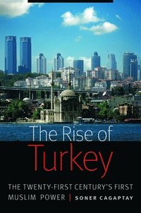 bokomslag The Rise of Turkey