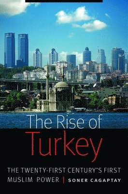 bokomslag Rise of Turkey