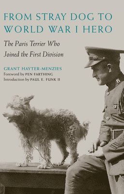 From Stray Dog to World War I Hero 1