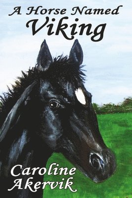 Caroline Akervik - Horse Named Viking, Häftad