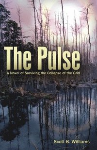 bokomslag Pulse