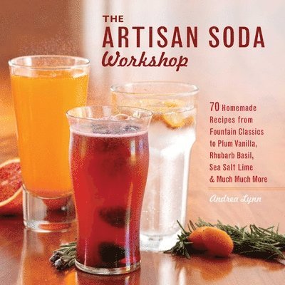The Artisan Soda Workshop 1