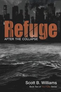 bokomslag Refuge After the Collapse