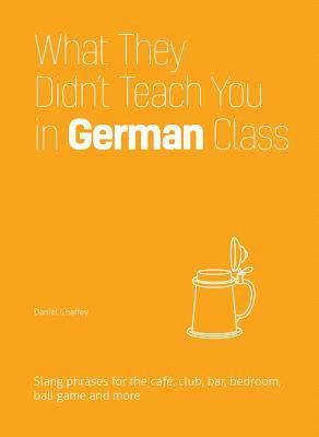 What They Didn't Teach You in German Class 1