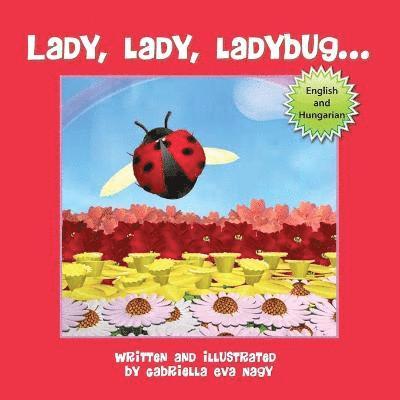 Lady, Lady, Ladybug 1