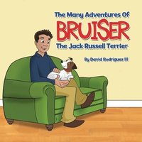 bokomslag The Many Adventures of Bruiser The Jack Russell Terrier