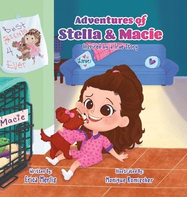 bokomslag Adventures of Stella and Macie