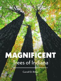 bokomslag Magnificent Trees of Indiana