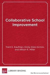 bokomslag Collaborative School Improvement