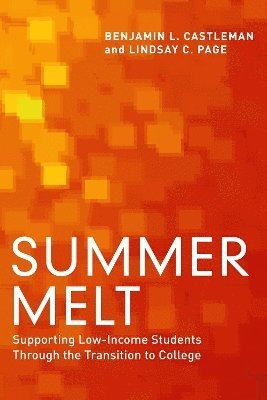 bokomslag Summer Melt