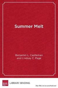 bokomslag Summer Melt