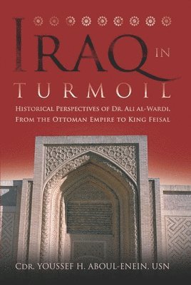 bokomslag Iraq in Turmoil