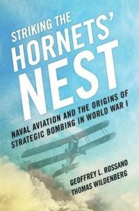 bokomslag Striking the Hornets' Nest