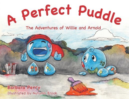 A Perfect Puddle 1