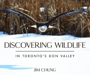 bokomslag Discovering Wildlife in Toronto's Don Valley