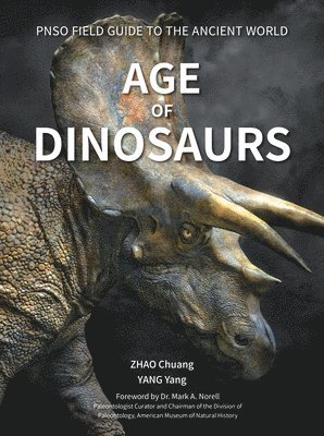 bokomslag Age of Dinosaurs