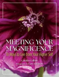 bokomslag Meeting Your Magnificence: 111 Ways to Live from Your Higher Self