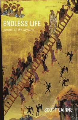 Endless Life 1