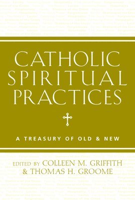 bokomslag Catholic Spiritual Practices