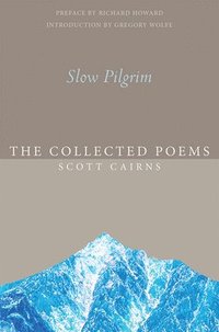 bokomslag Slow Pilgrim