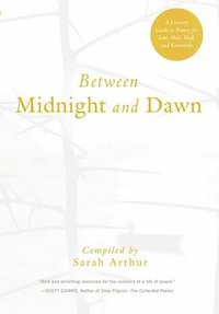 bokomslag Between Midnight and Dawn