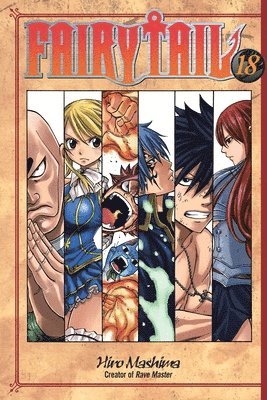 bokomslag Fairy Tail 18