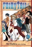 bokomslag Fairy Tail 22