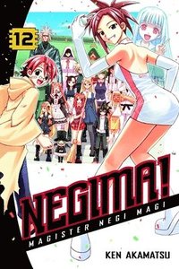 bokomslag Negima! 12
