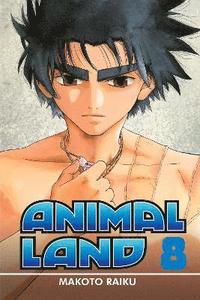 bokomslag Animal Land 8