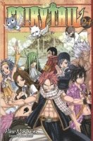 bokomslag Fairy Tail 24