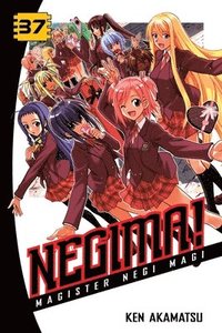 bokomslag Negima! 37