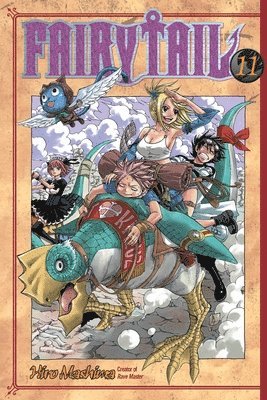 bokomslag Fairy Tail 11