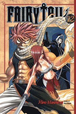 bokomslag Fairy Tail 12