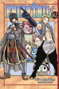 bokomslag Fairy Tail 31