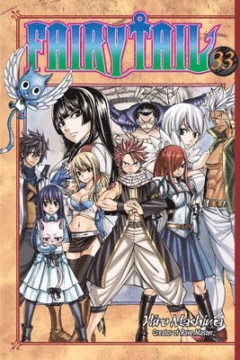 bokomslag Fairy Tail 33