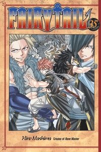 bokomslag Fairy Tail 35