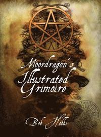 bokomslag Moordragon's Illustrated Grimoire