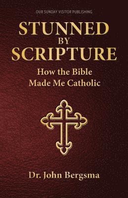 bokomslag Stunned by Scripture