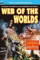 bokomslag Web of the Worlds & Rule Golden